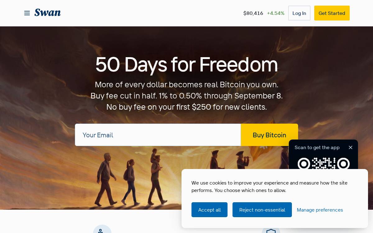 Swan fintech-blockchain website preview