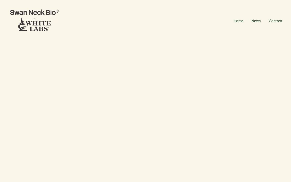 Swanneck website preview