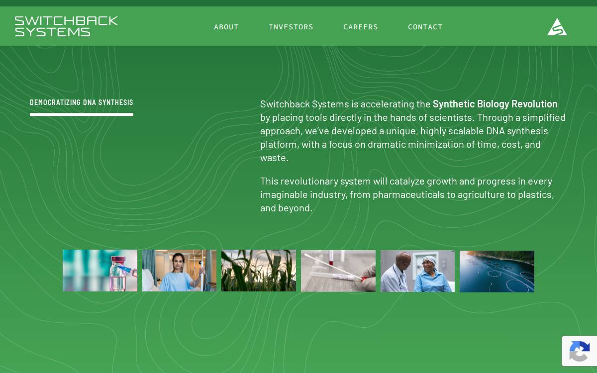 Switchbacksys website preview