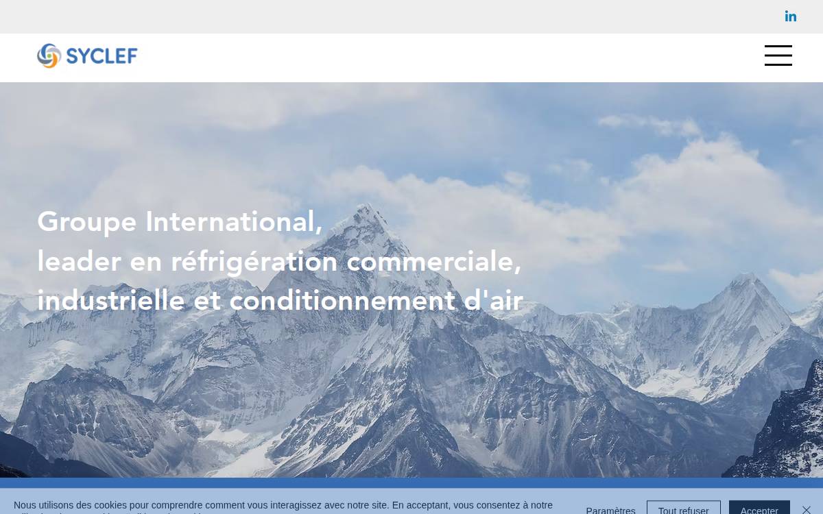 SYCLEF website preview