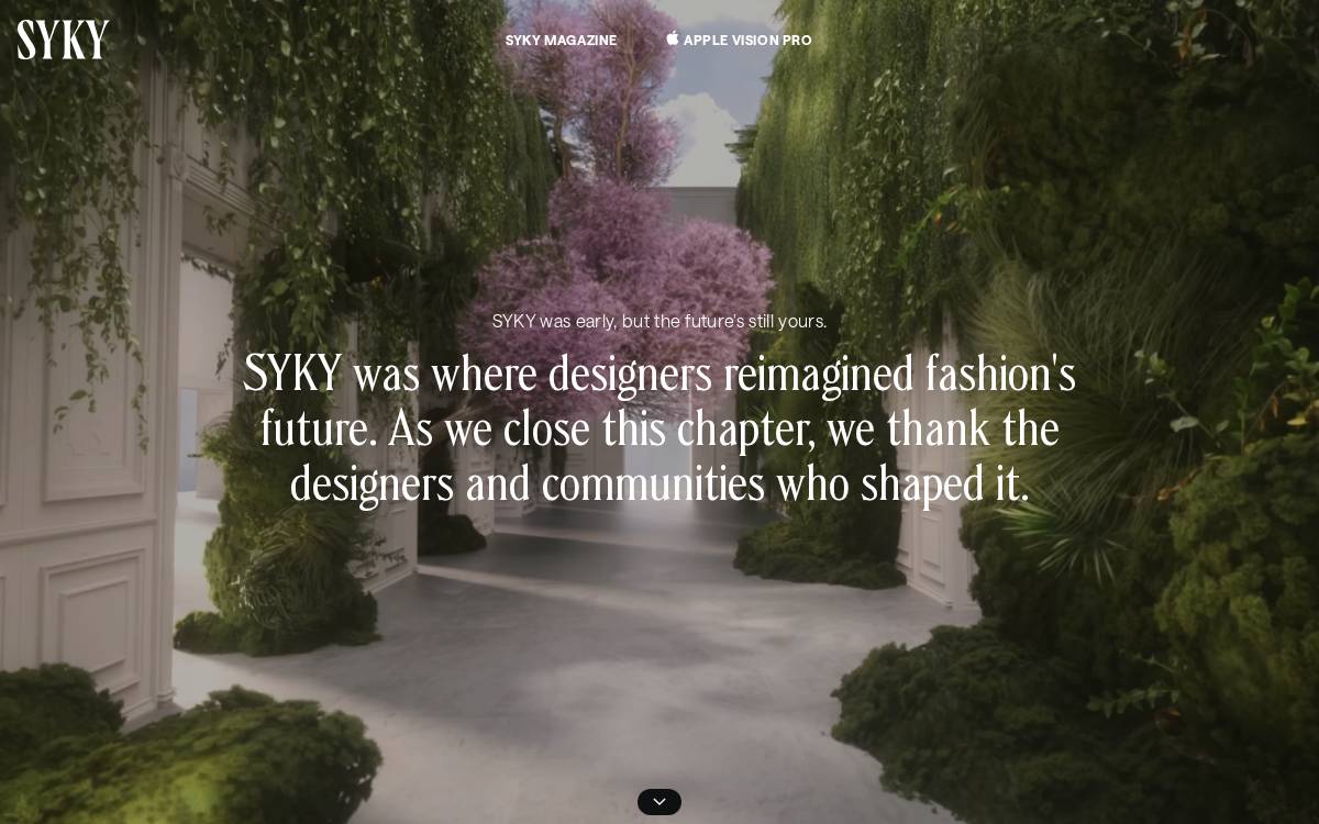 Syky website preview