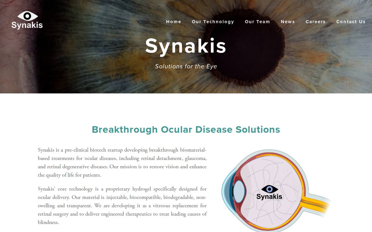 Synakis Corp. website preview