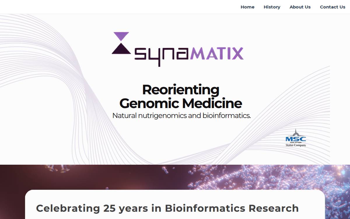 Synamatix website preview