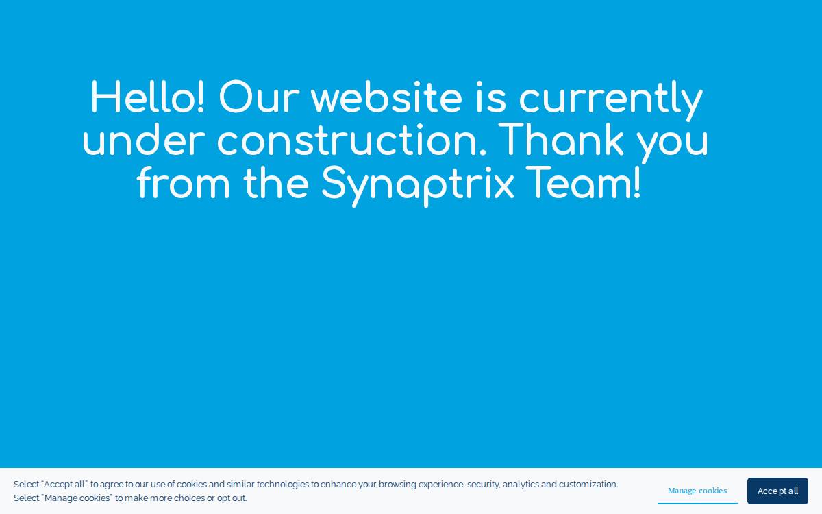 Synaptrix website preview