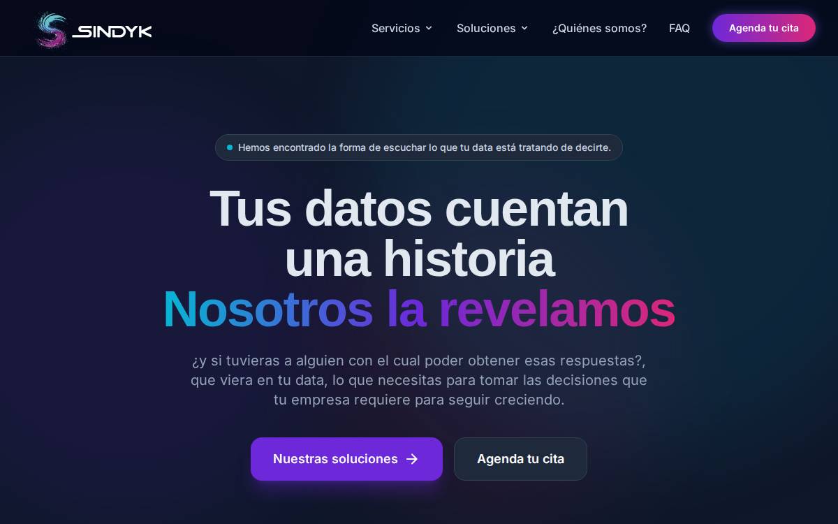 Syndk website preview