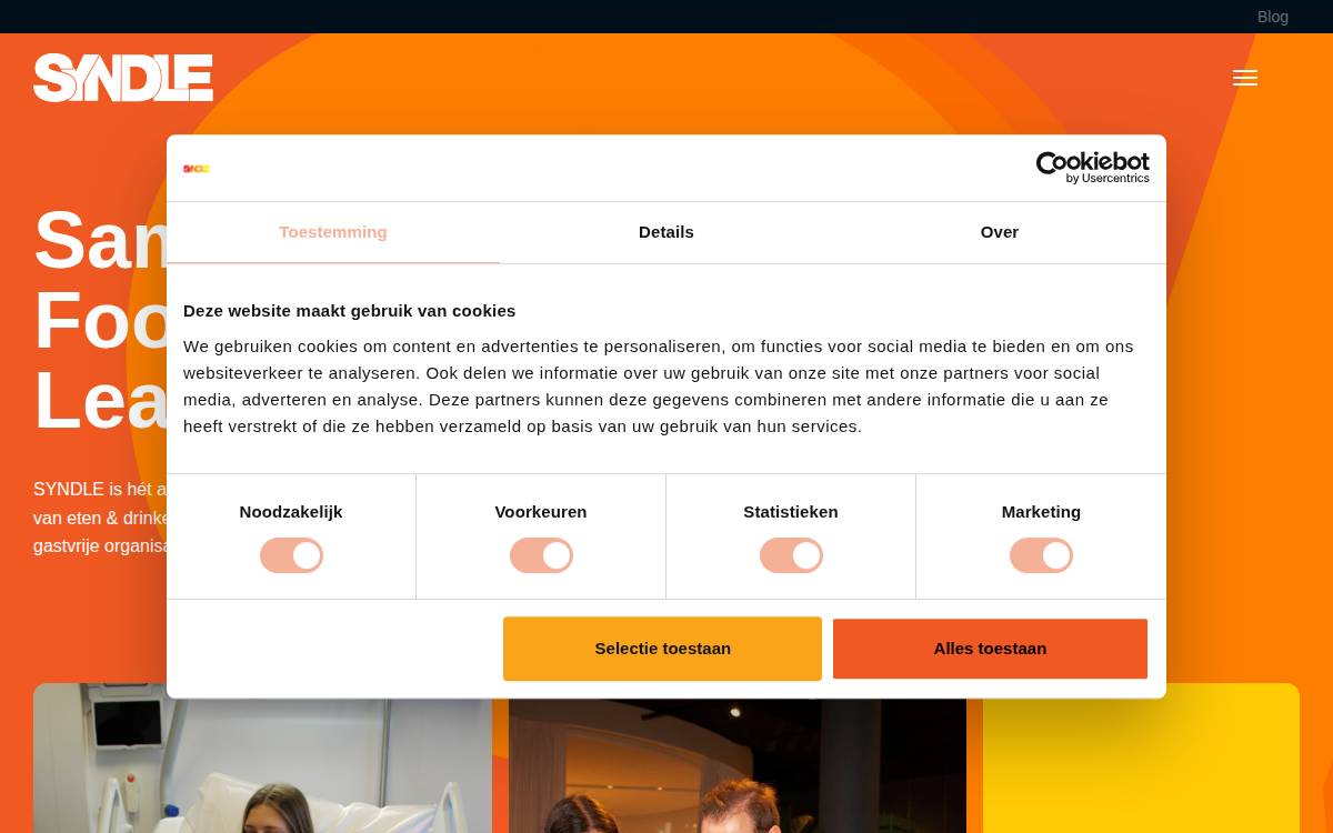 Syndle website preview