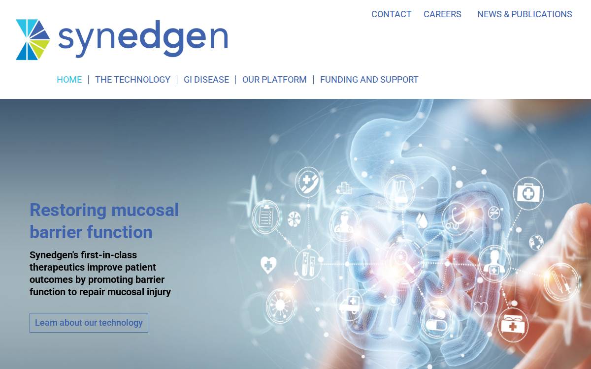 Synedgen website preview
