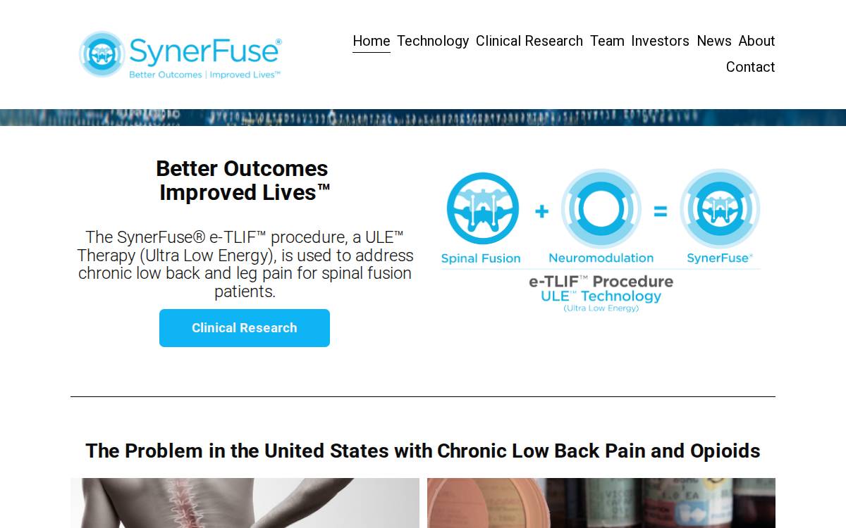 SynerFuse website preview