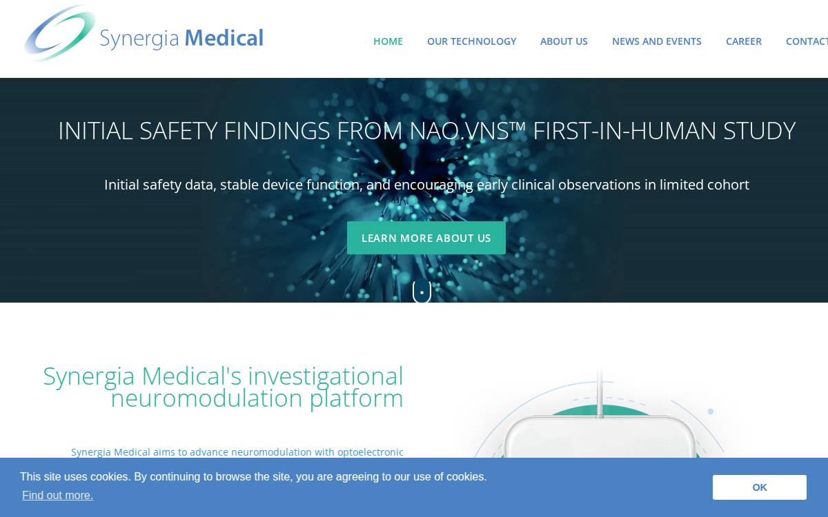 Synergia website preview