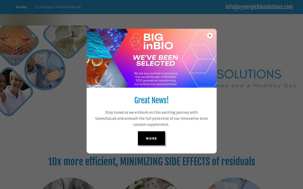 Synergicbiosolutions website preview