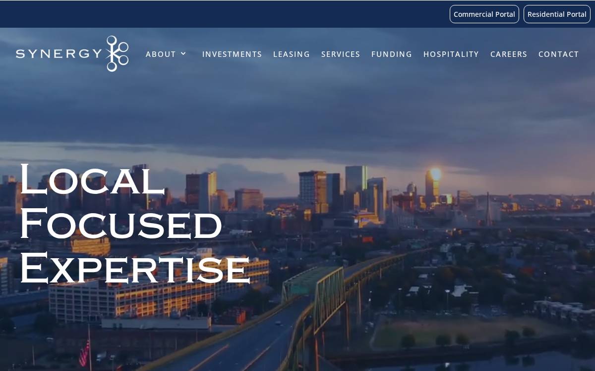 Synergy website preview