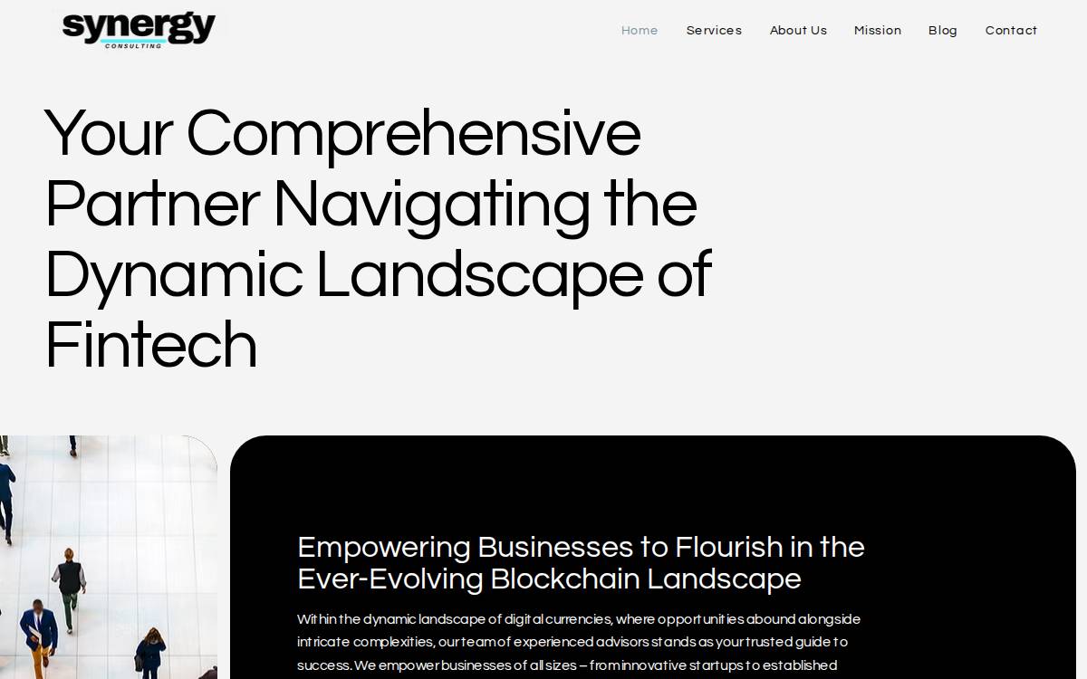 Synergy Consulting website preview