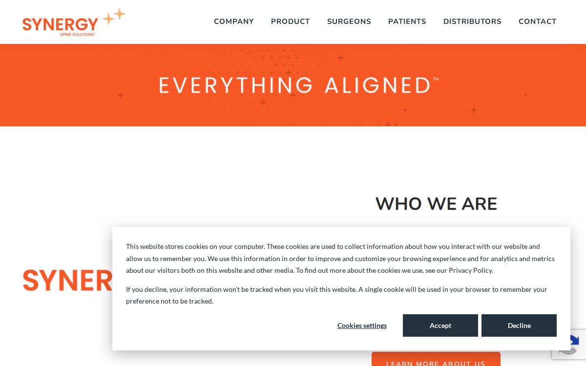 Synergy Disc Replacement website preview