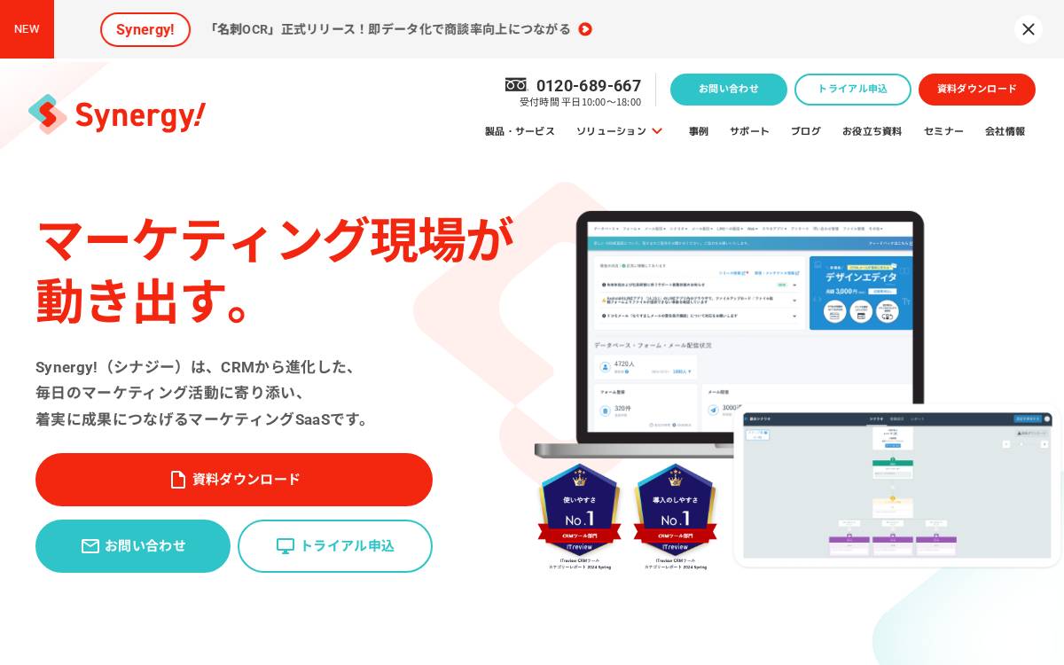 Synergy Marketing.Co website preview