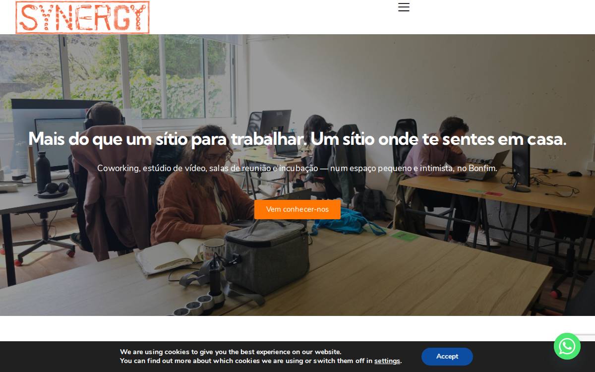 Synergy Porto website preview