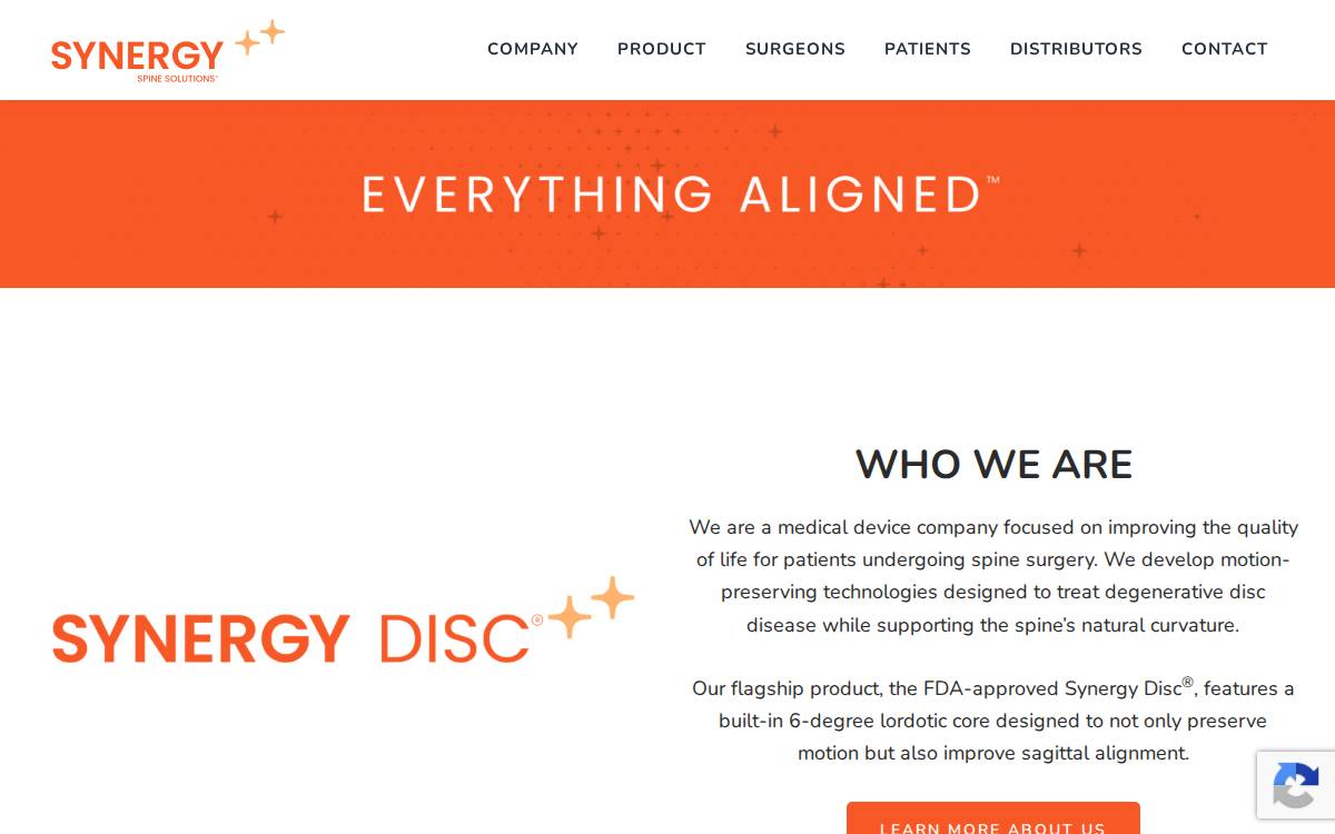 Synergyspinesolutions website preview
