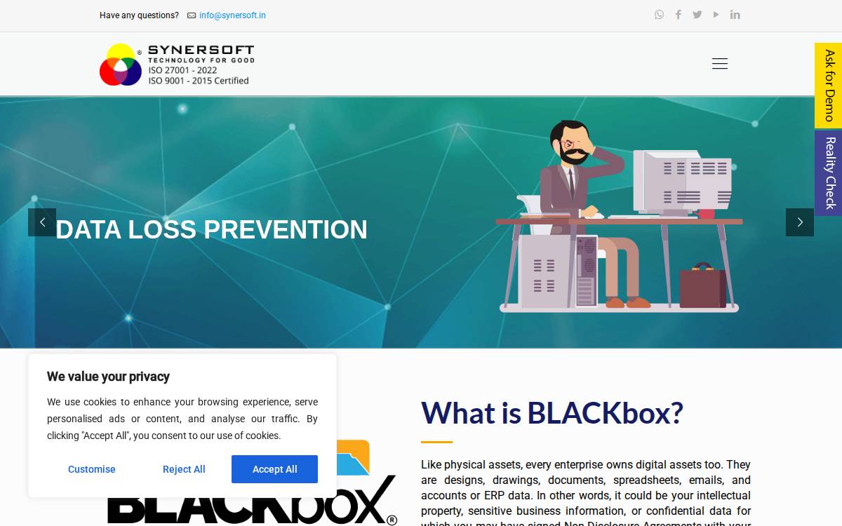 SYNERSOFT website preview