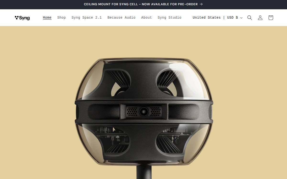 Syng website preview