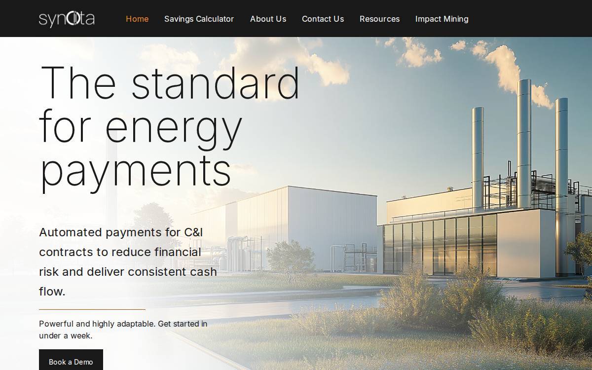 Synota website preview