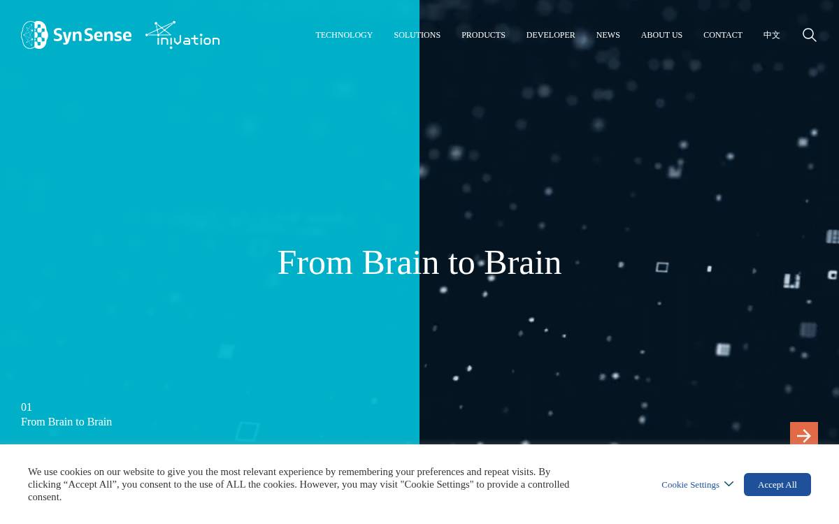 Synsense Neuromorphic website preview