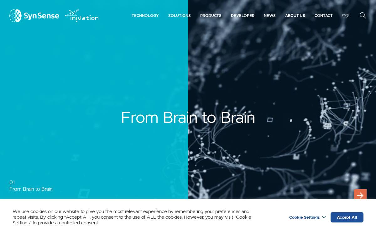 SynSense website preview