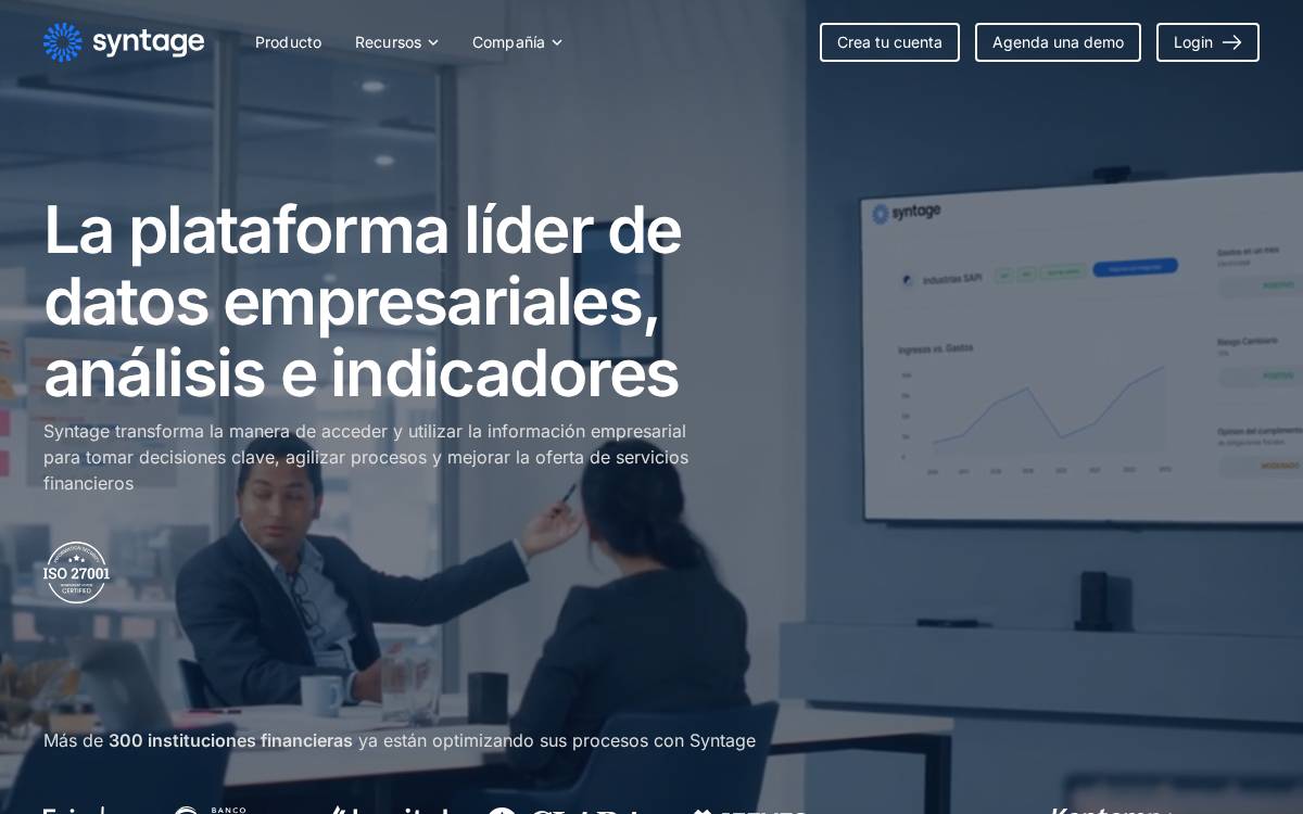 Syntage website preview
