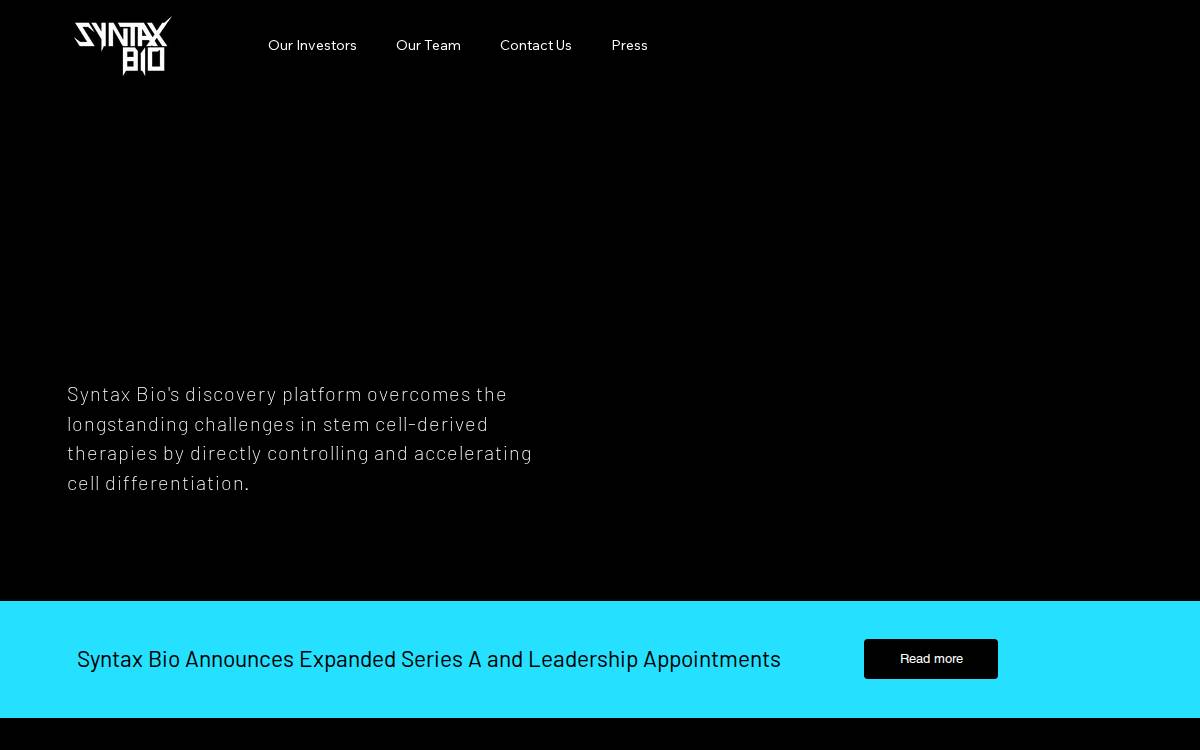 Syntax website preview
