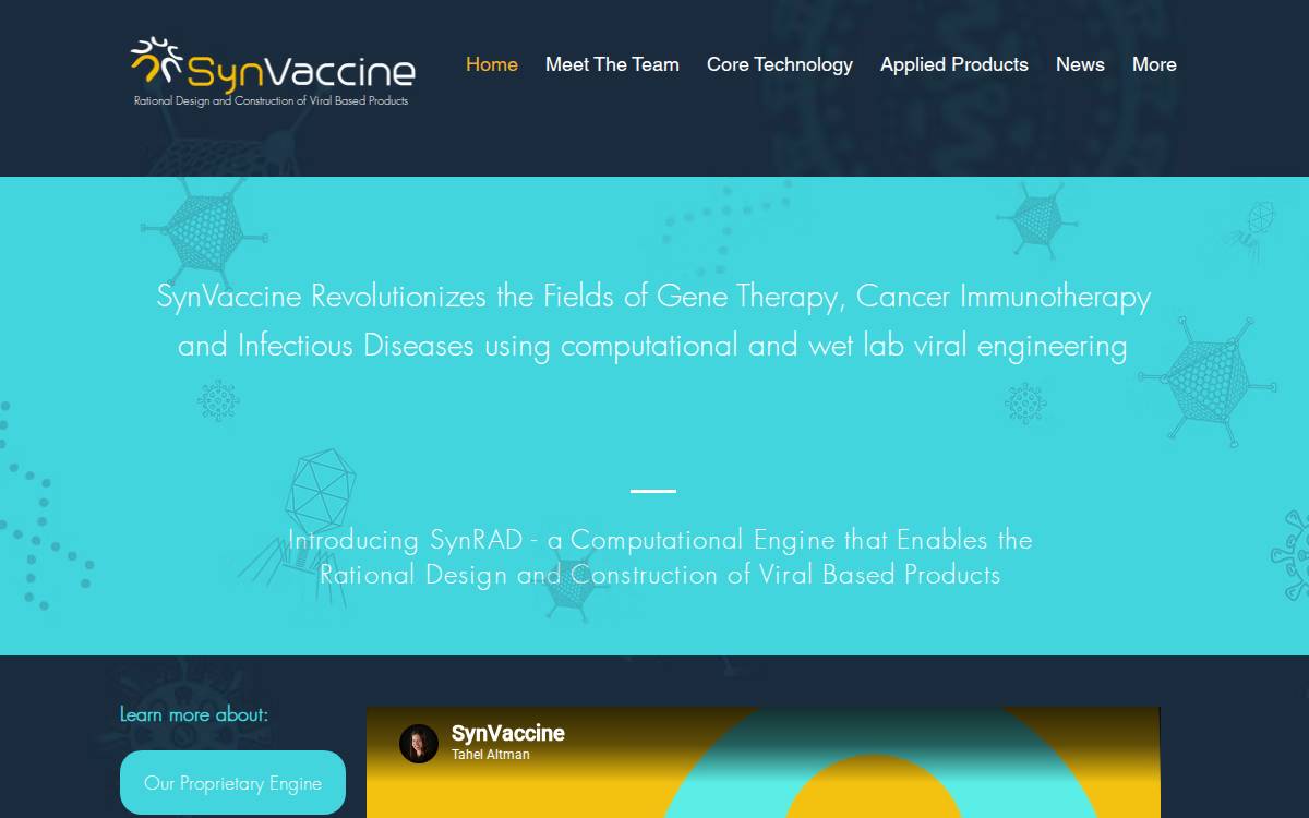 SynVaccine website preview