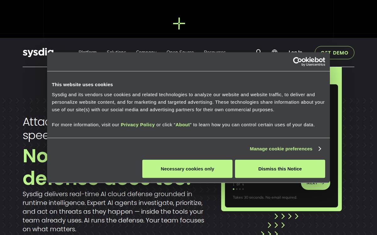 Sysdig website preview