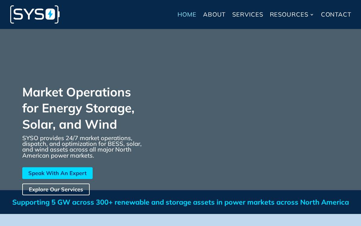 SYSO website preview