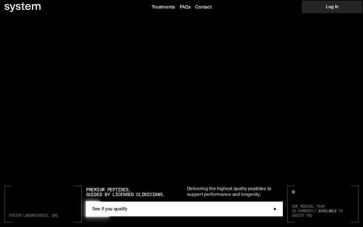 System Labs website preview