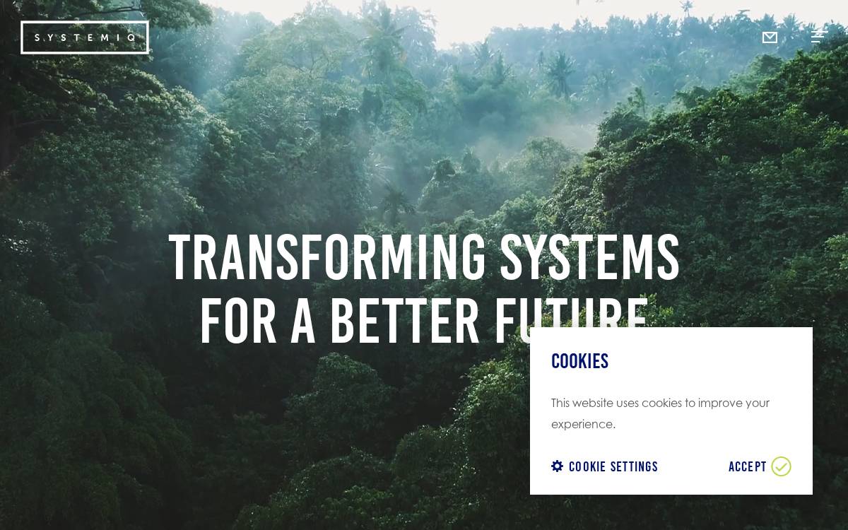 Systemiq website preview