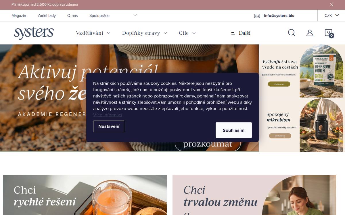 Systers website preview