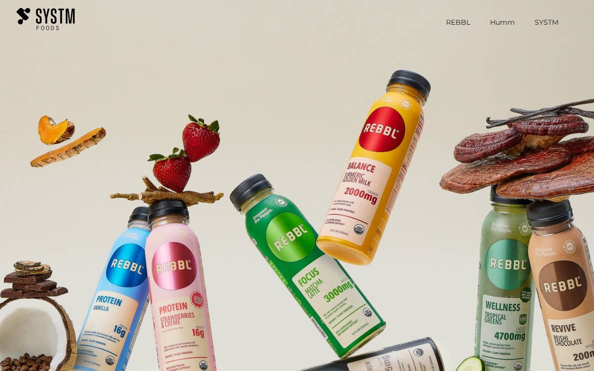 SYSTM Foods website preview