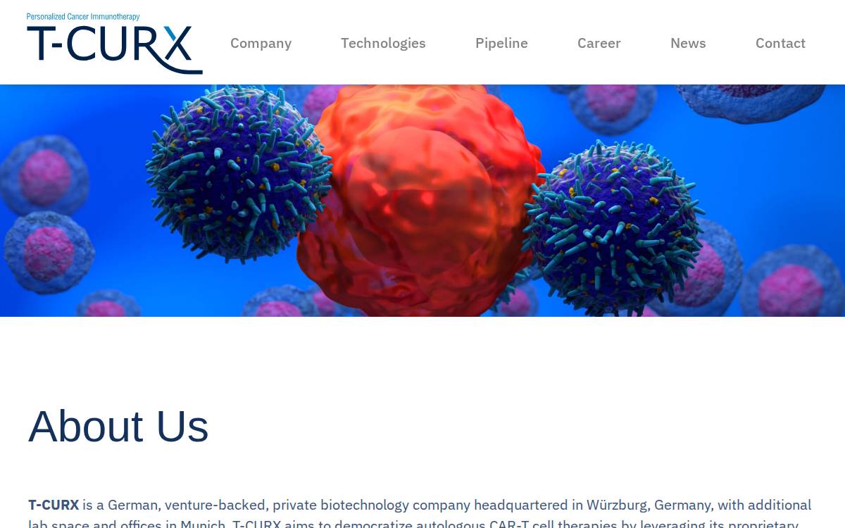 T-CURX website preview