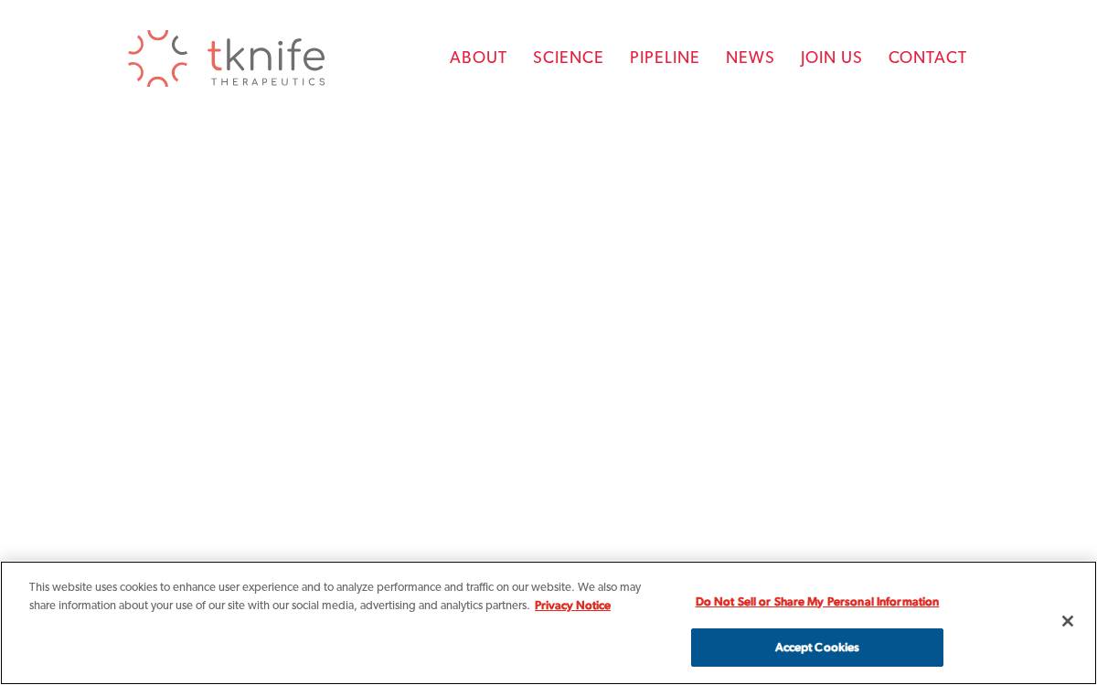 T-Knife website preview