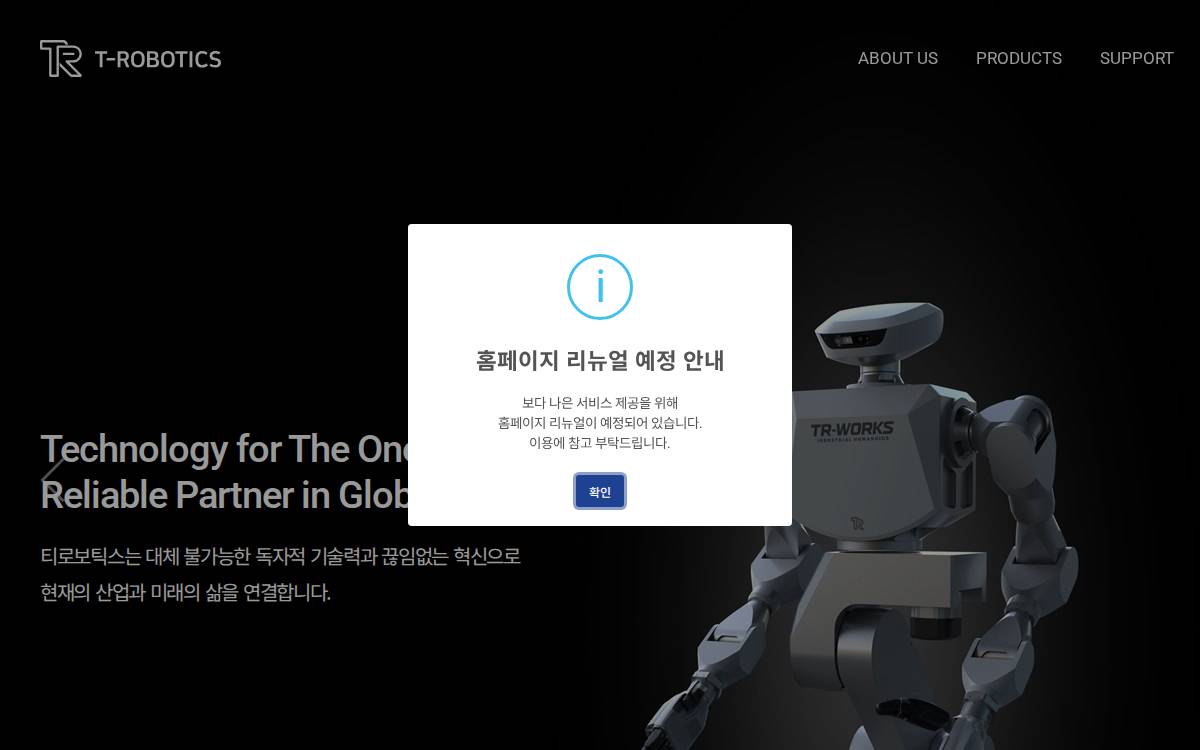 T Robotics website preview