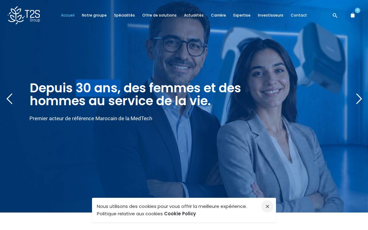 T2S Group website preview