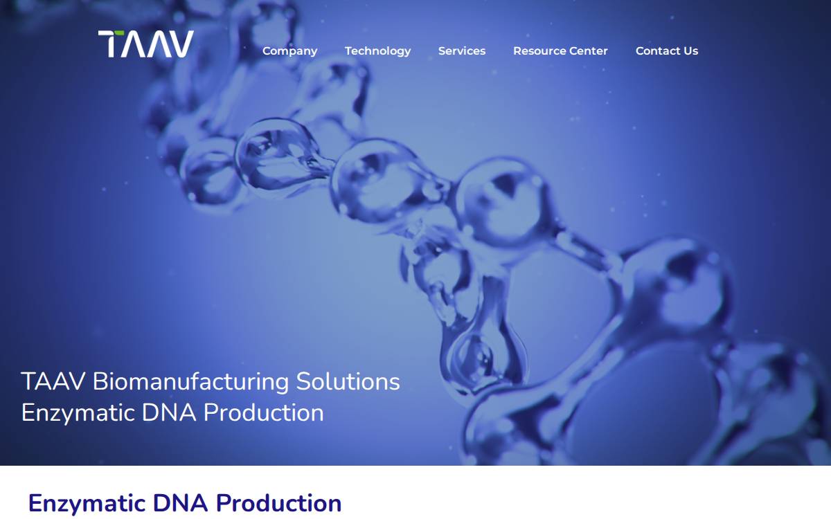 Taav website preview