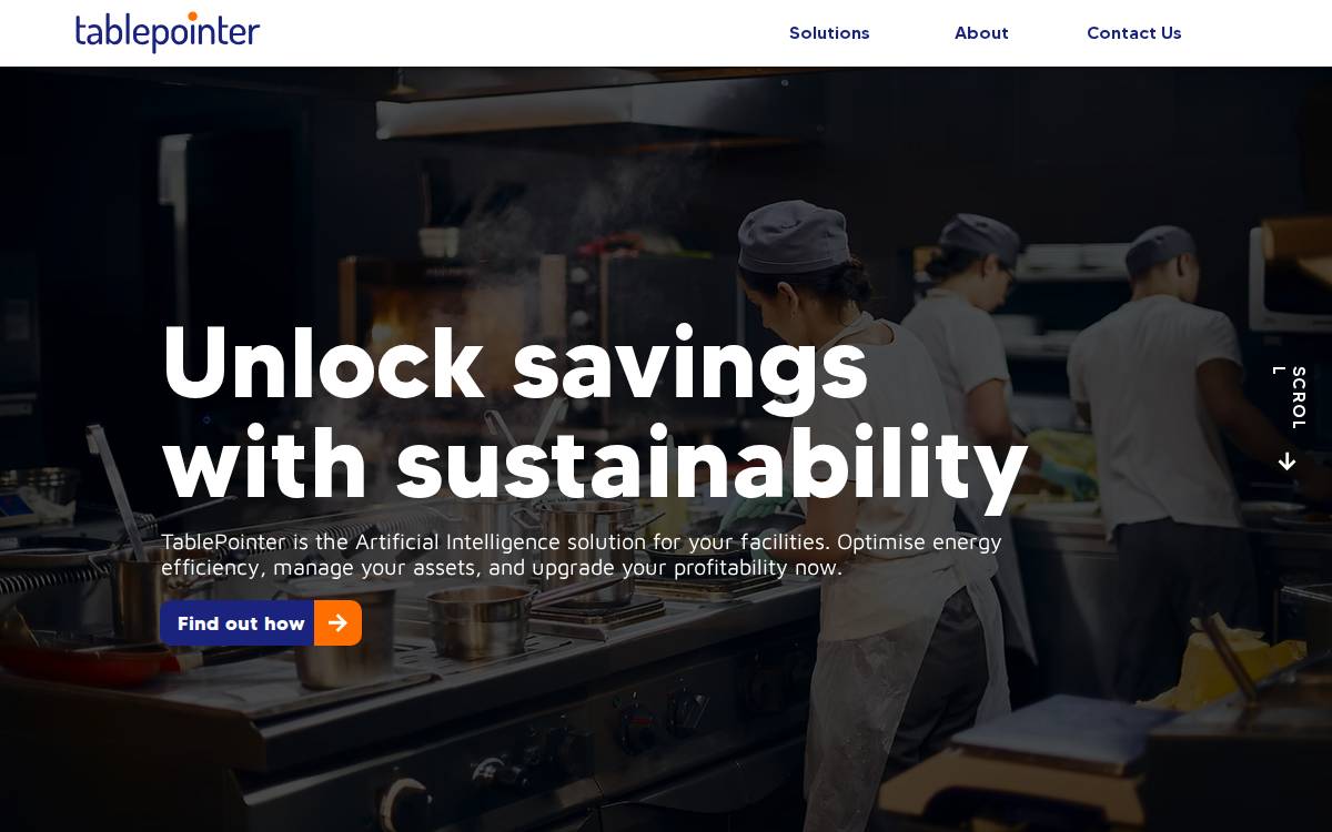 TablePointer website preview