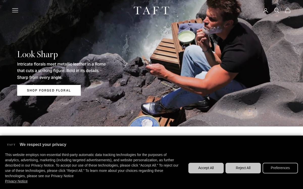 TAFT website preview