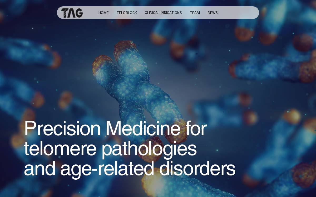Tag Therapeutics website preview