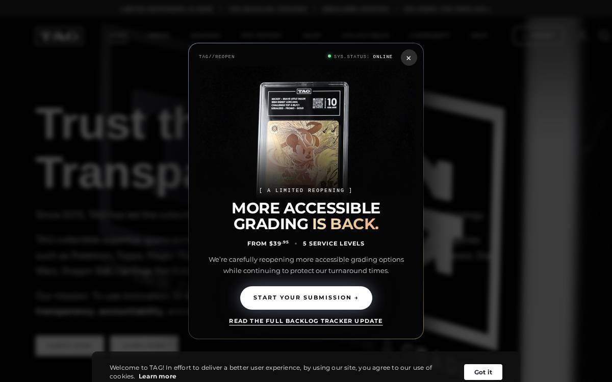 Taggrading website preview