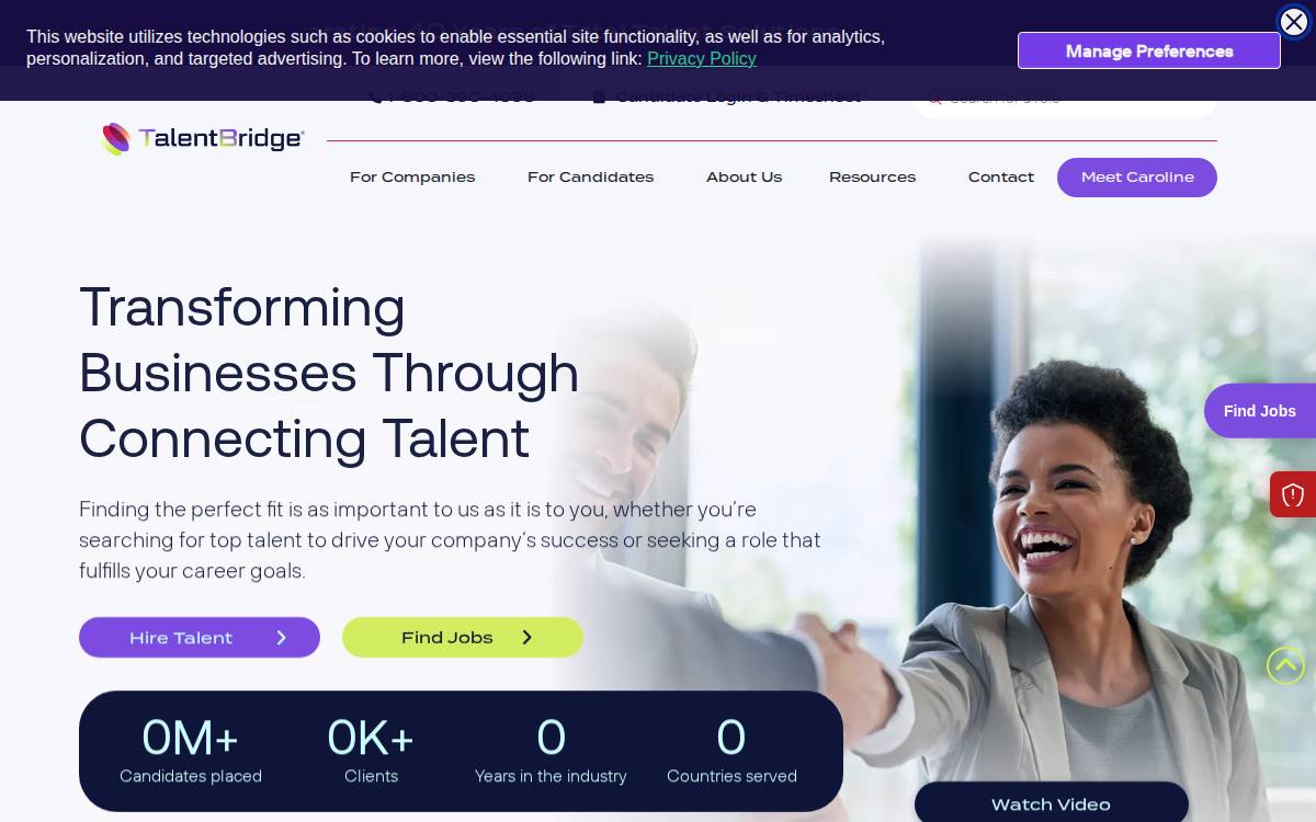 TalentBridge website preview