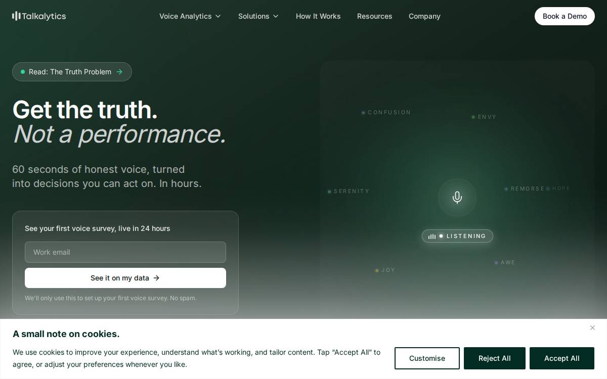 Talkalytics website preview