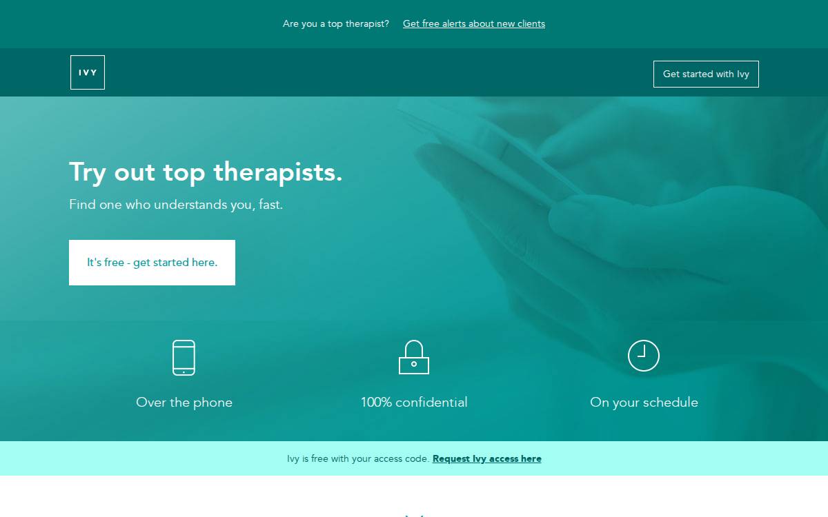 Talktoivy website preview