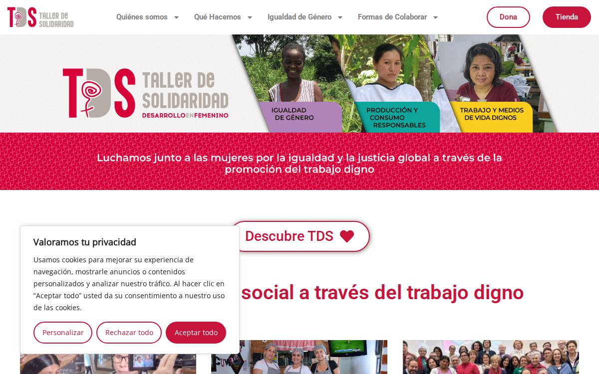 Taller de Solidaridad website preview
