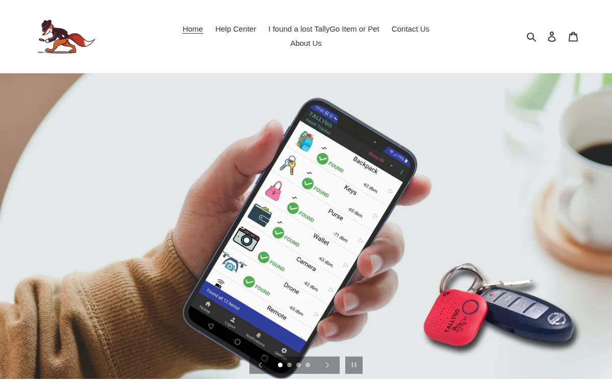 TallyGo website preview