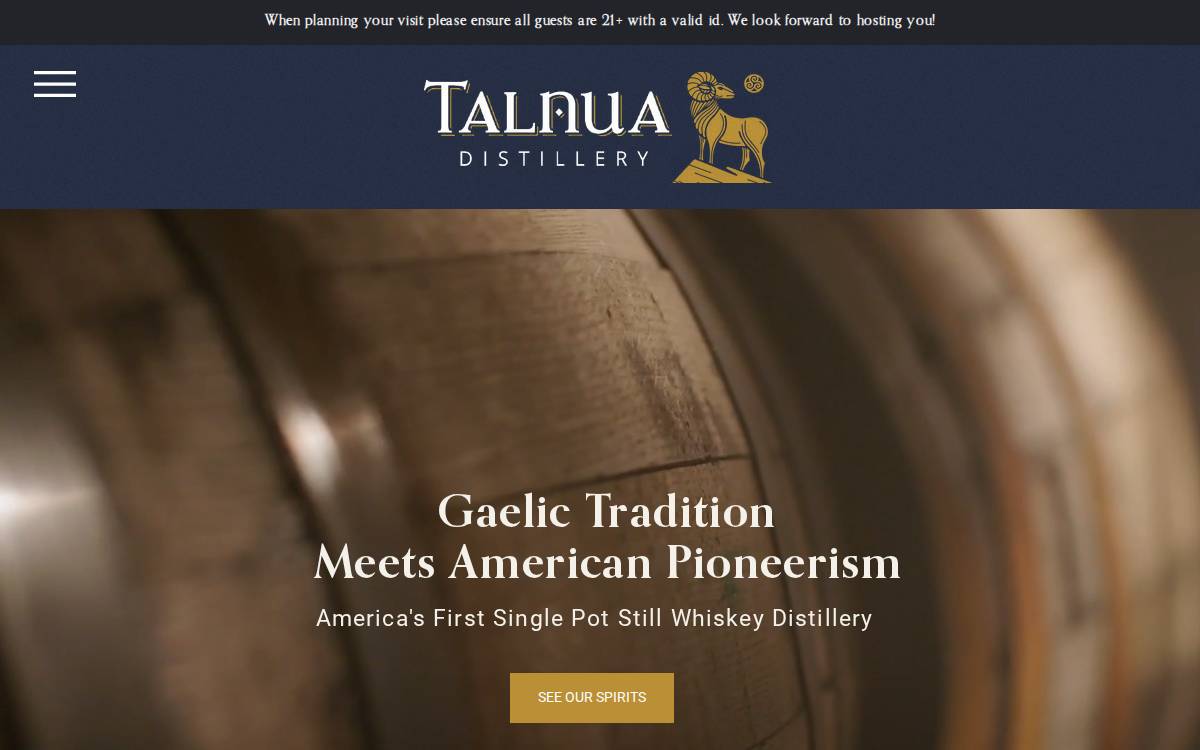 Talnua website preview