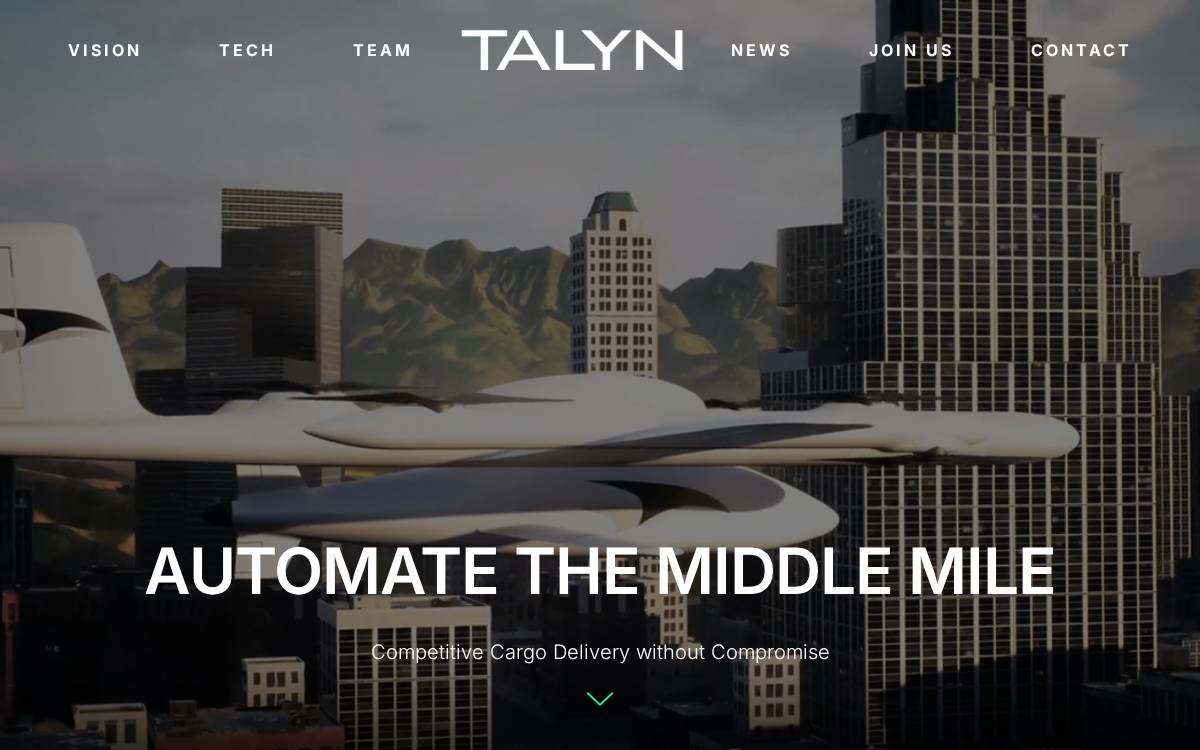 Talyn Air website preview
